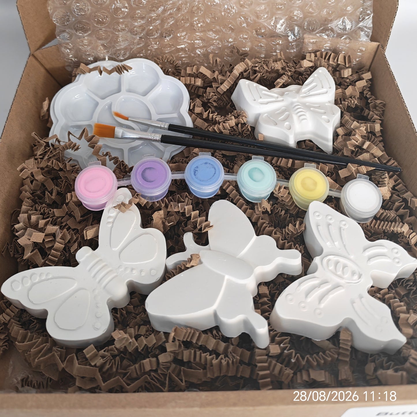 Butterflies Paintable Kit