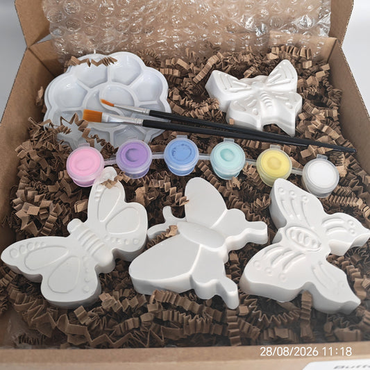 Butterflies Paintable Kit