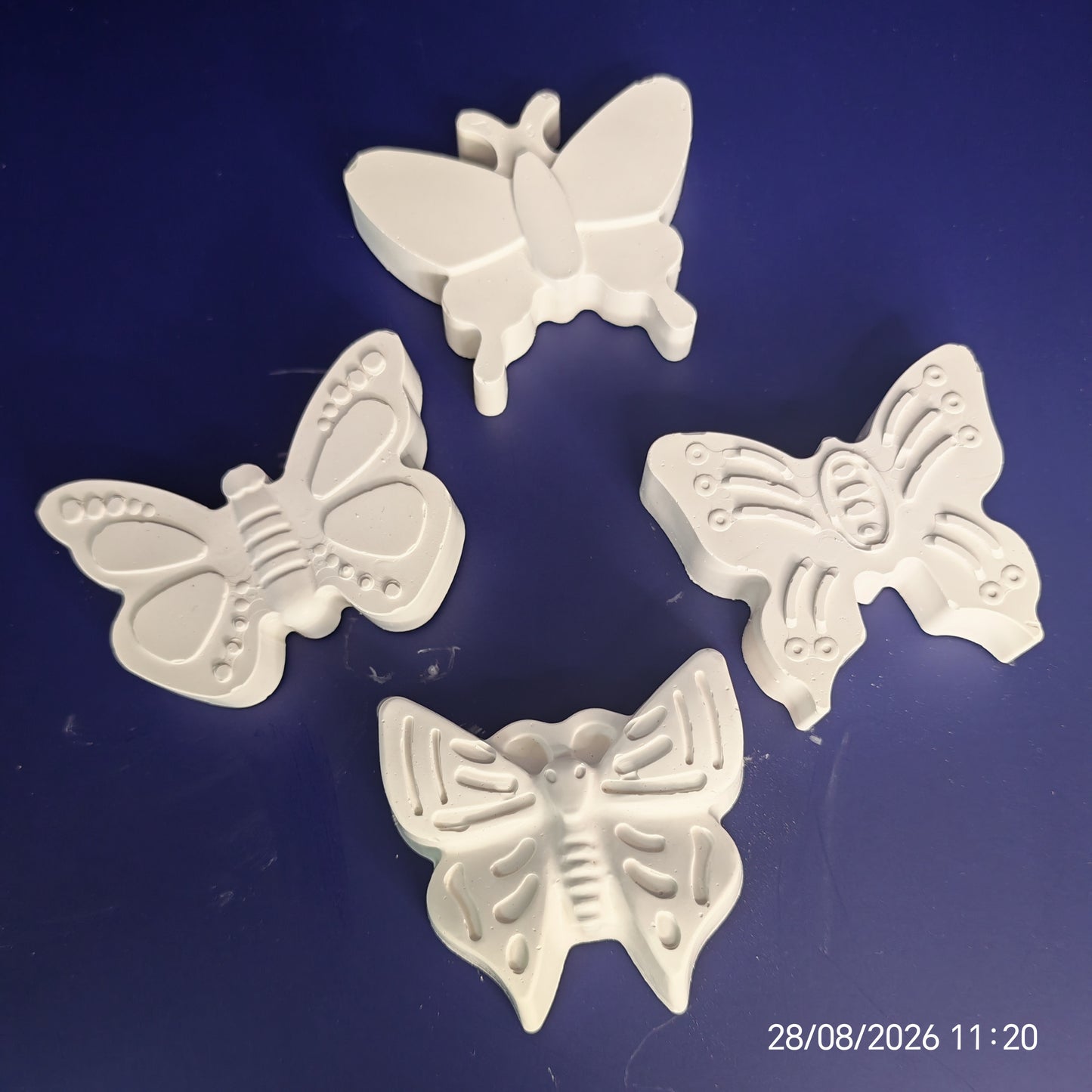 Butterflies Paintable Kit