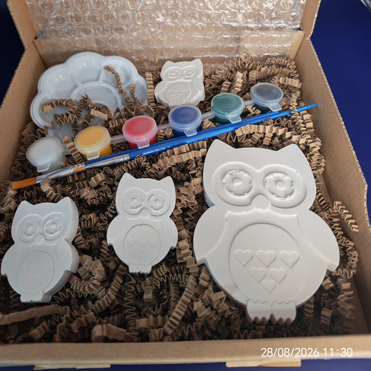 Owls Paintable Kit