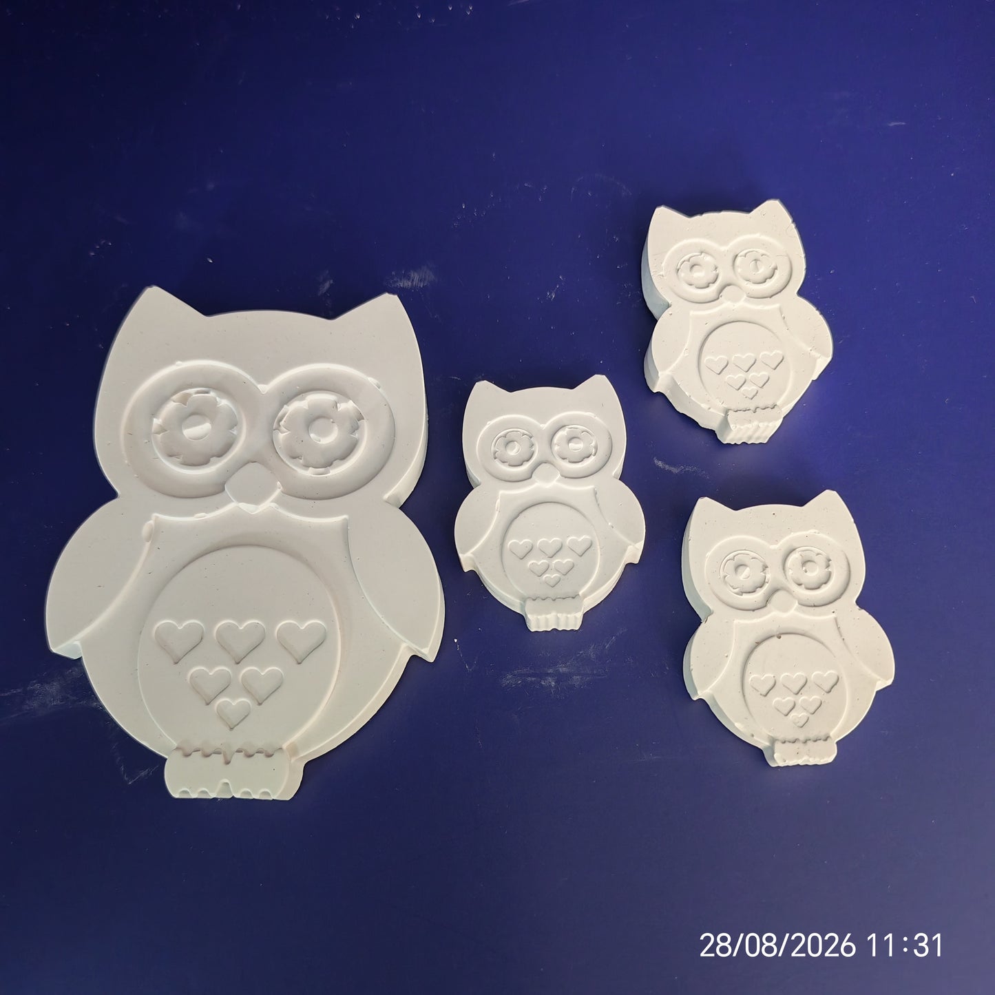 Owls Paintable Kit